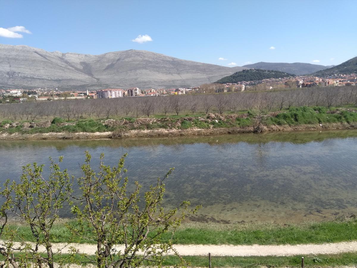 Apartman Boki Trebin Dış mekan fotoğraf
